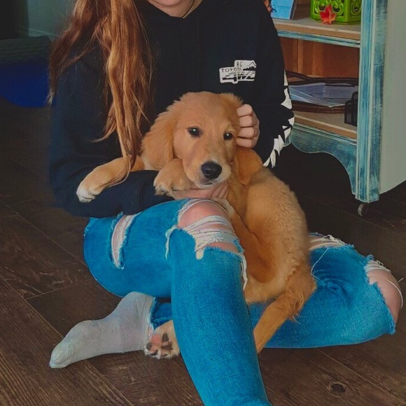 Meet your Posher, Gabrielle - Picture 1 of 1